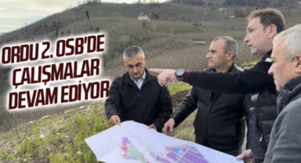 Ordu 2. OSB'de çalışmalar devam ediyor