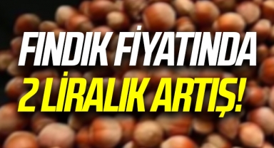 Ordu'da serbest piyasada fındık 55 liradan işlem görüyor