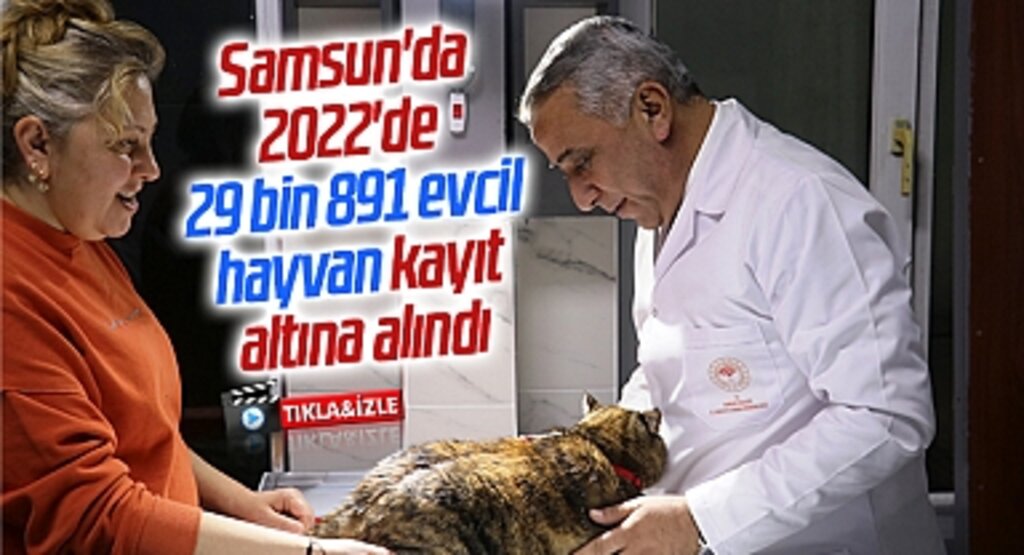 Samsun'da 2022'de 29 bin 891 evcil hayvan kayıt altına alındı