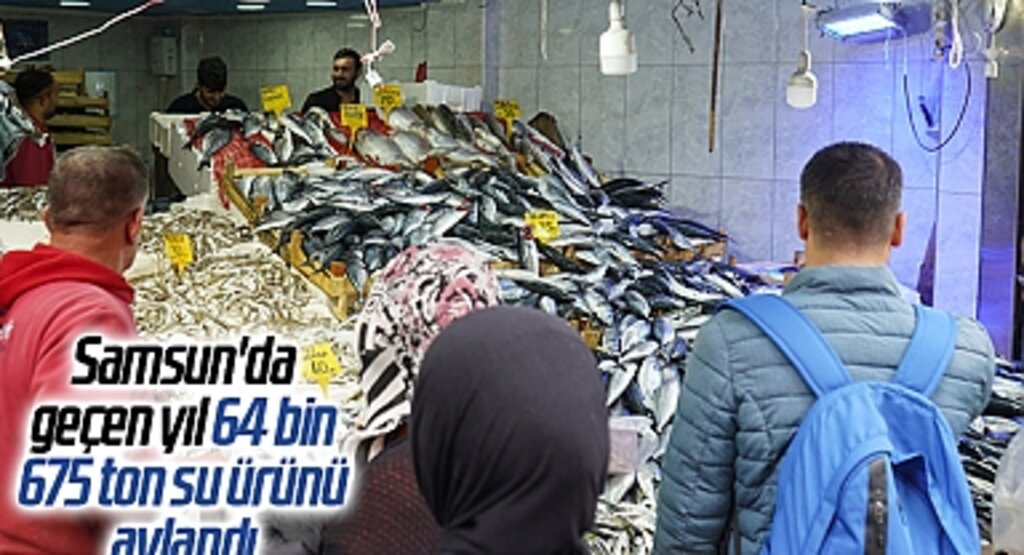 Samsun'da geçen yıl 64 bin 675 ton su ürünü avlandı