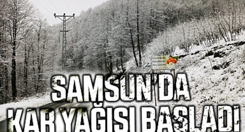 Samsun'da Kar Yağışı Başladı