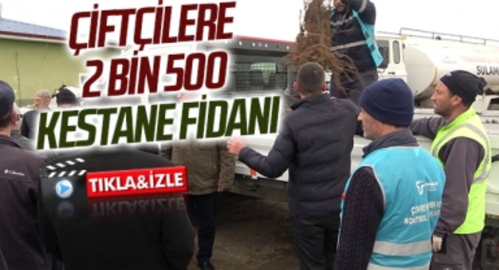 Tekkeköy’de çiftçilere 2 bin 500 kestane fidanı dağıtıldı