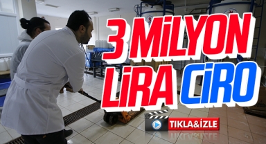 Üniversitede kurulan