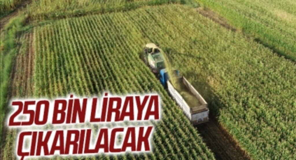 Uzman Eller Projesi'nde hibe desteği 100 bin liradan 250 bin liraya çıkarılacak