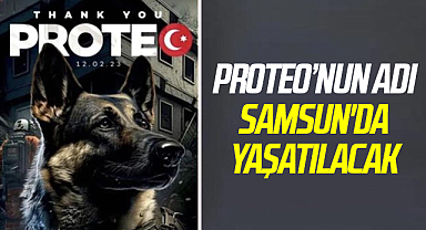 Arama kurtarma köpeği