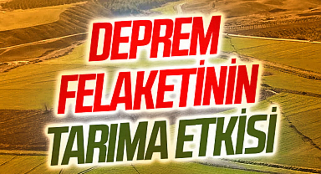 Deprem felaketinin tarıma etkisi