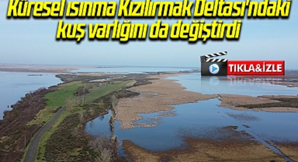 Küresel ısınma Kızılırmak Deltası'ndaki kuş varlığını da değiştirdi