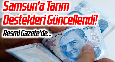 Samsun'a Tarım Destekleri Güncellendi! Resmi Gazete'de...