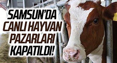 Samsun'da canlı hayvan pazarları kapatıldı