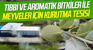 19 Mayıs'ta tıbbi ve aromatik bitkiler ile meyveler için kurutma tesisi kuruldu