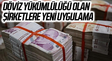 Döviz yükümlülüğü olan şirketlere yeni uygulama