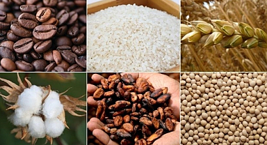 Emtia piyasası ekonomik aktiviteye ilişkin iyimserlikle geçen hafta pozitif seyretti