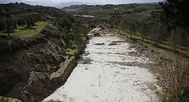 Hatay'da depremler zeytin bahçesini ikiye ayırdı