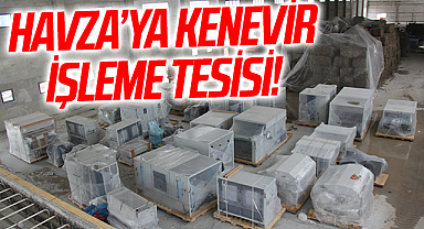 Havza'da kenevir işleme tesisi kurulum çalışmaları devam ediyor
