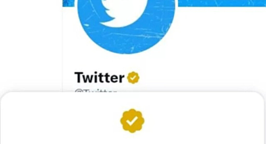 Merakla bekleniyordu... Mavi tikli Twitter Blue Türkiye'ye geldi, fiyatı belli oldu!