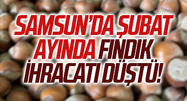 Samsun’da Şubat Ayında Fındık İhracatı Düştü!