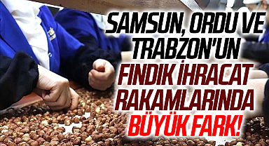 Samsun, Ordu ve Trabzon'un Fındık İhracat Rakamlarında Büyük Fark!