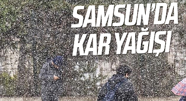 Samsun ve Tokat'ta kar yağışı etkili oldu