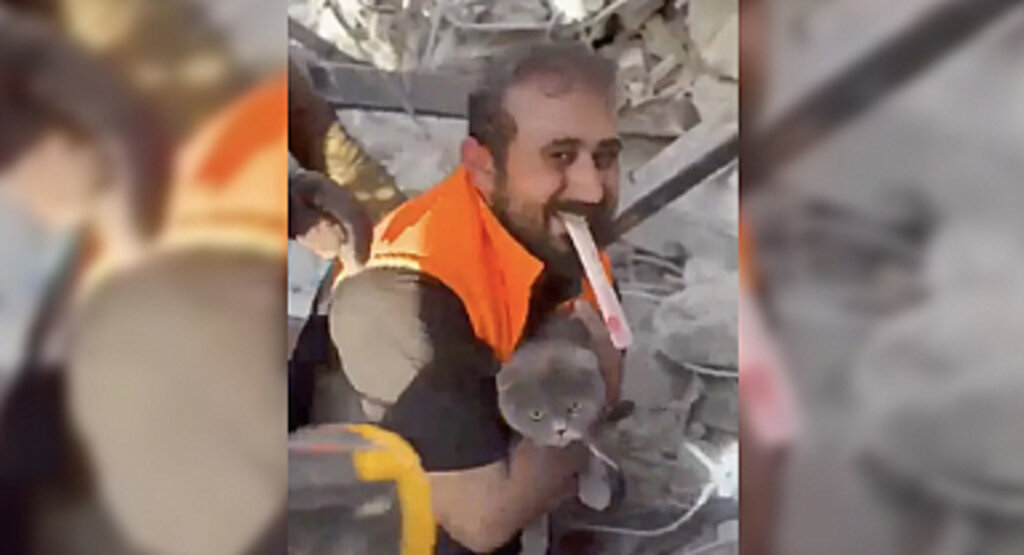 Tam Bir Ay Sonra Enkazdan Kurtarılan Kedi Hem Sahibini Hem de Bizleri Gözyaşlarına Boğdu