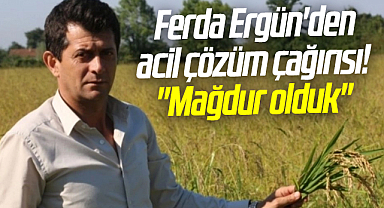 Terme Ziraat Odası Başkanı Ferda Ergün'den acil çözüm çağırısı!