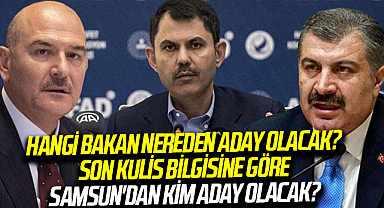 Hangi bakan nereden aday olacak? Son kulis bilgisine göre Samsun'dan Kim Aday Olacak?