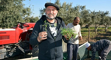 Hüsnü Şenlendirici sağlık durumu nasıl? Hüsnü Şenlendirici kanser mi, hastalığı nedir?