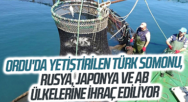 Ordu'da yetiştirilen Türk somonu, Rusya, Japonya ve AB ülkelerine ihraç ediliyor