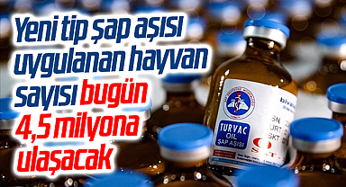 Yeni tip şap aşısı uygulanan hayvan sayısı bugün 4,5 milyona ulaşacak