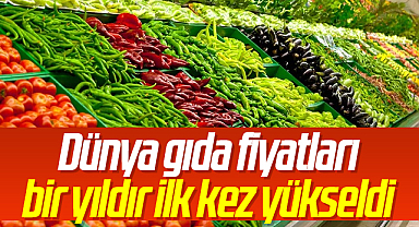Dünya gıda fiyatları bir yıldır ilk kez yükseldi