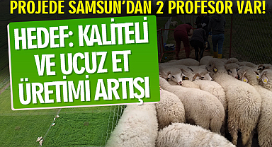 Projede Samsun’dan 2 profesör var! Hedef: Kaliteli ve Ucuz Et Üretimi Artışı