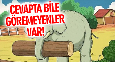 Resimdeki atı sadece yüksek IQ'lu insanlar görebiliyor! Cevapta Bile Göremeyenler Var