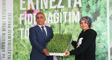 Samsun'da geçen yıl 1265 ton tıbbi aromatik bitki üretildi