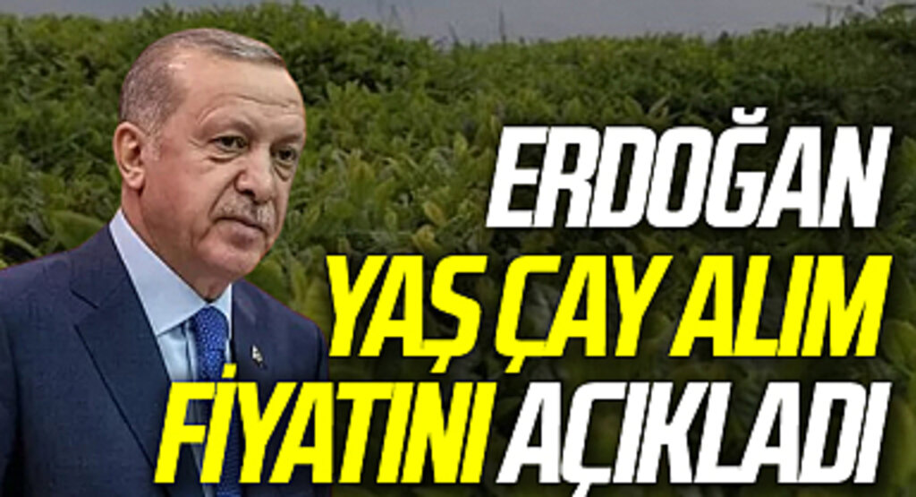 Son dakika | 'Sabah erken kalkan cumhurbaşkanı yardımcılığı kapıyor' diyerek Millet İttifakı'na yüklendi! Erdoğan yaş çay alım fiyatını açıkladı