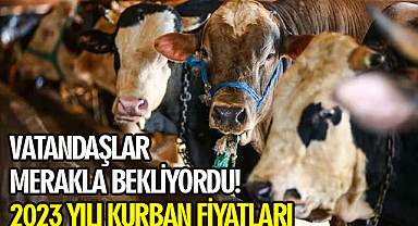 Vatandaşlar merakla bekliyordu! 2023 yılı kurban fiyatları