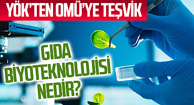 YÖK'ten OMÜ'ye gıda biyoteknolojisi teşviki! Gıda Biyoteknolojisi Nedir?