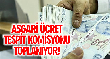 Asgari Ücret Tespit Komisyonu 13 Haziran'da toplanacak