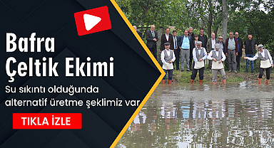 Bafra'da Çeltik Tohumu Dağıtımı ve Ekim Töreni Gerçekleştirildi