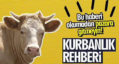 Kurbanlık seçiminde dikkat edilmesi gereken hususlar