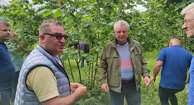 Ulusal Fındık Konseyi, Gürcistan’da