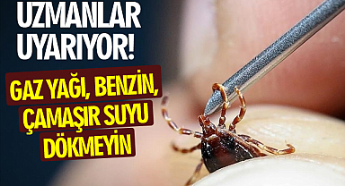 Uzmanlardan