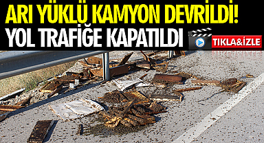 Arı Yüklü Kamyon Devrildi! Yol Trafiğe Kapatıldı