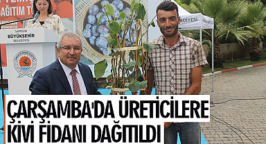 Çarşamba'da üreticilere kivi fidanı dağıtıldı