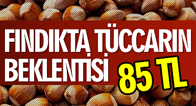 Fındıkta Tüccarın Beklentisi 85 TL