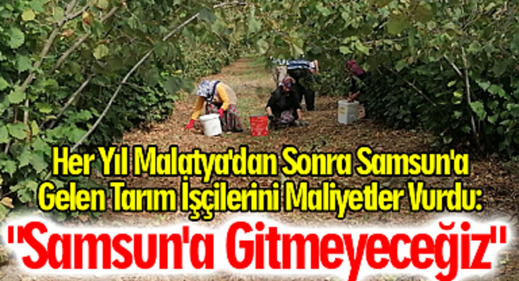 Her Yıl Malatya'dan Sonra Samsun'a Gelen Tarım İşçilerini Maliyetler Vurdu! 
