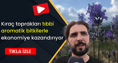 Kardiyoloji uzmanı kıraç toprakları tıbbi aromatik bitkilerle ekonomiye kazandırıyor