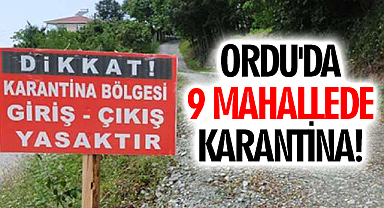 Ordu'da 9 Mahallede Karantina!