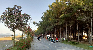 Samsun'daki Miliç Plajı ziyaretçilerine yeşil ile maviyi bir arada sunuyor