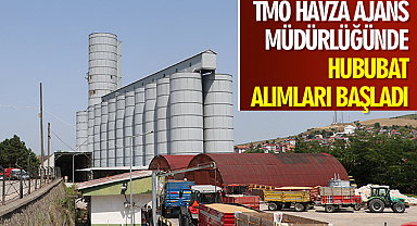 TMO Havza Ajans Müdürlüğünde hububat alımları başladı