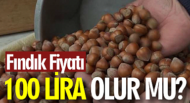 Fındık Fiyatı 100 TL Olur Mu?