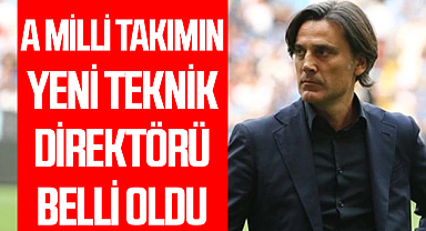 A Milli Takımın yeni teknik direktörü belli oldu